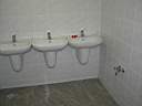 Sanitariaty